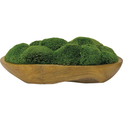 Moss 19 in. Centerpiece